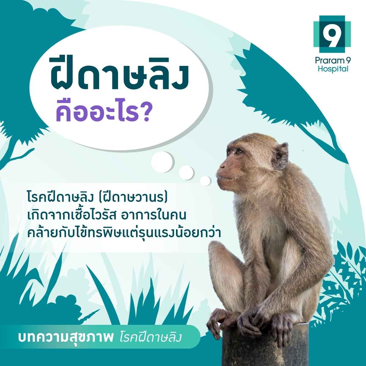 ฝีดาษลิง คืออะไร