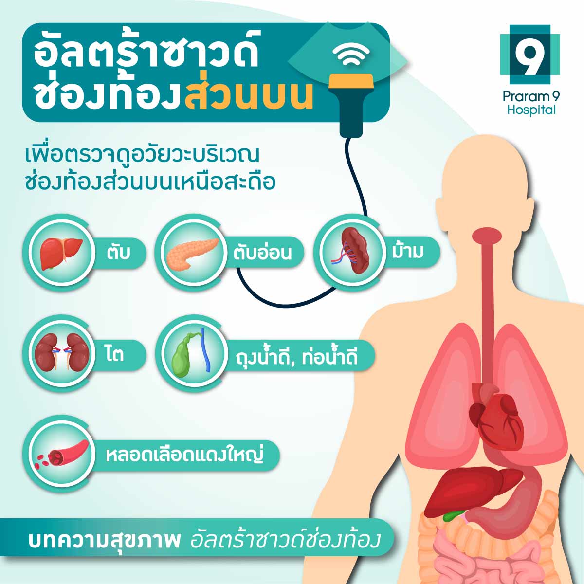 อัลตร้าซาวด์ช่องท้องส่วนบน