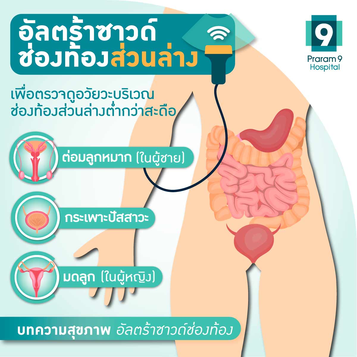 อัลตร้าซาวด์ช่องท้องส่วนล่าง