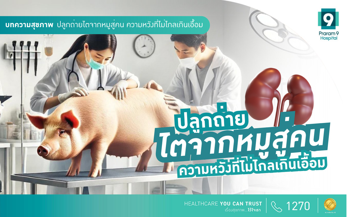 การปลูกถ่ายอวัยวะจากสัตว์สู่คน