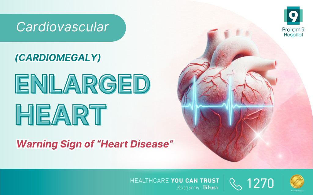 Enlarged Heart